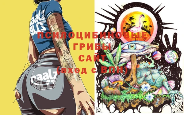 прущие крисы Алексеевка