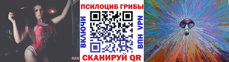 как найти наркотики  Уварово  Галлюциногенные грибы мухоморы 